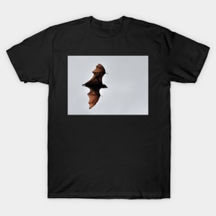 Australie - Cairns, Flying Fox T-Shirt